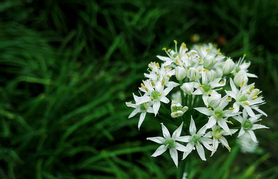 優(yōu)秀的企業(yè)宣傳片怎樣善用好文案語(yǔ)言